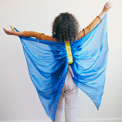 Playsilk Fairy Wings in Star
