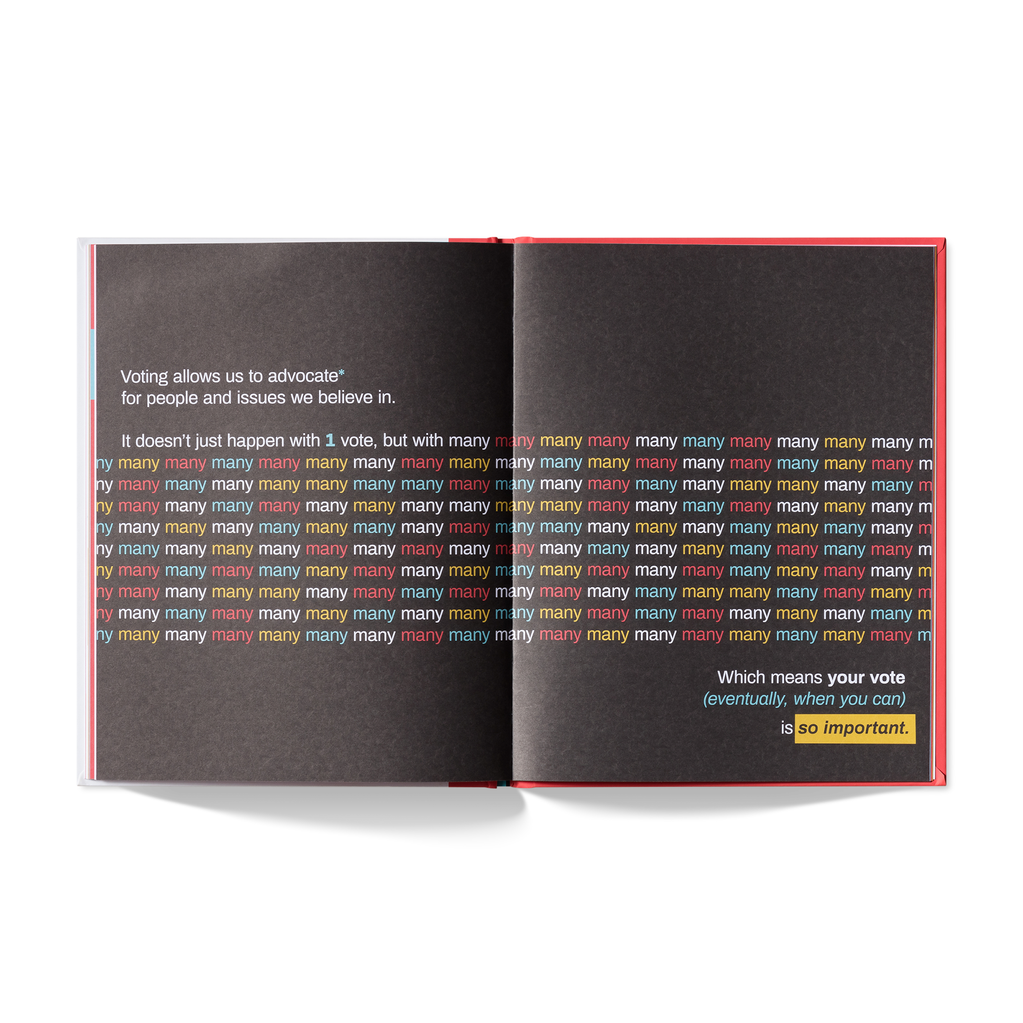 A Kids Book About Voting