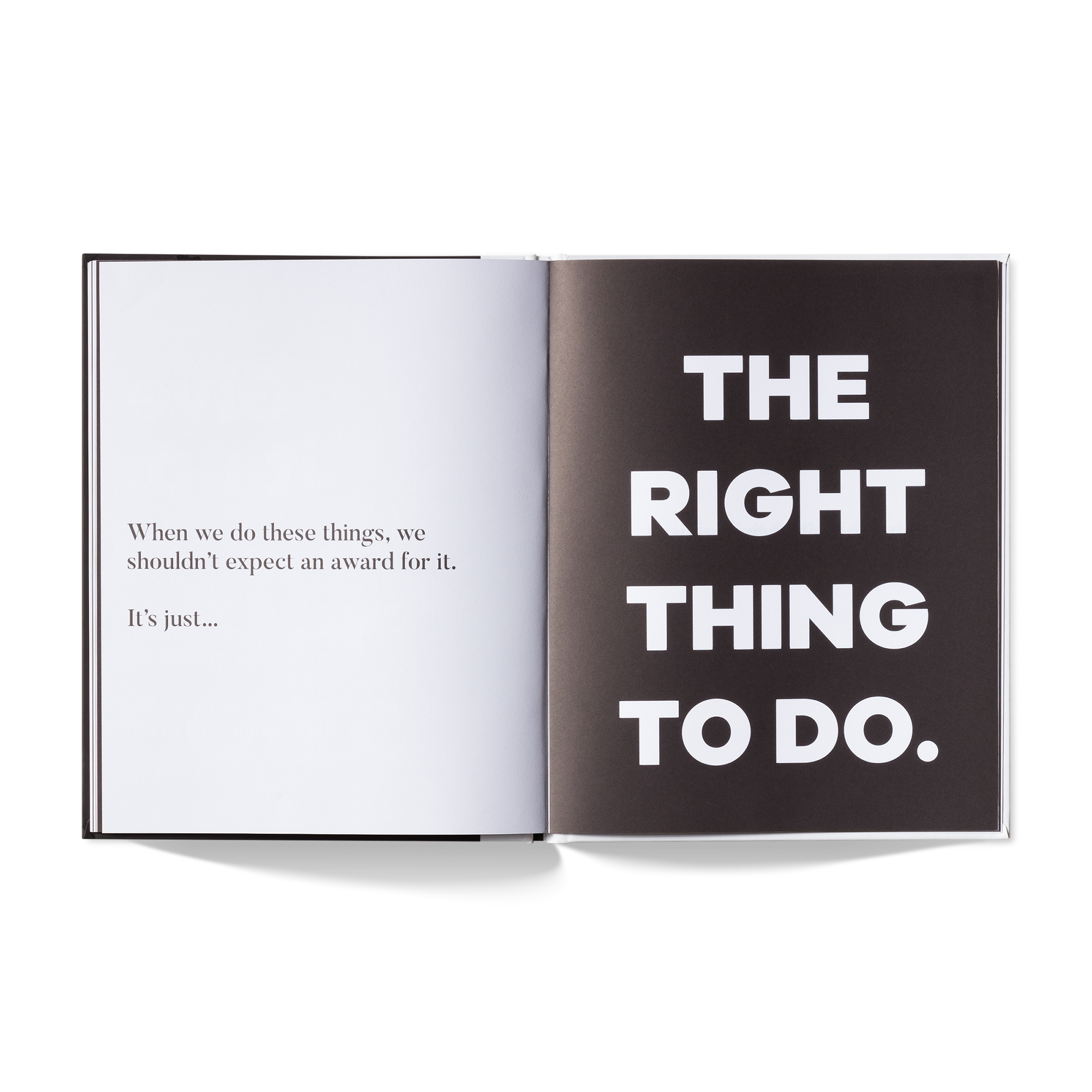 A Kids Book About White Privilege