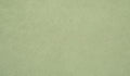 Close-up of the smooth, suede-like Nugget microsuede fabric in mossy sage Bamboo.