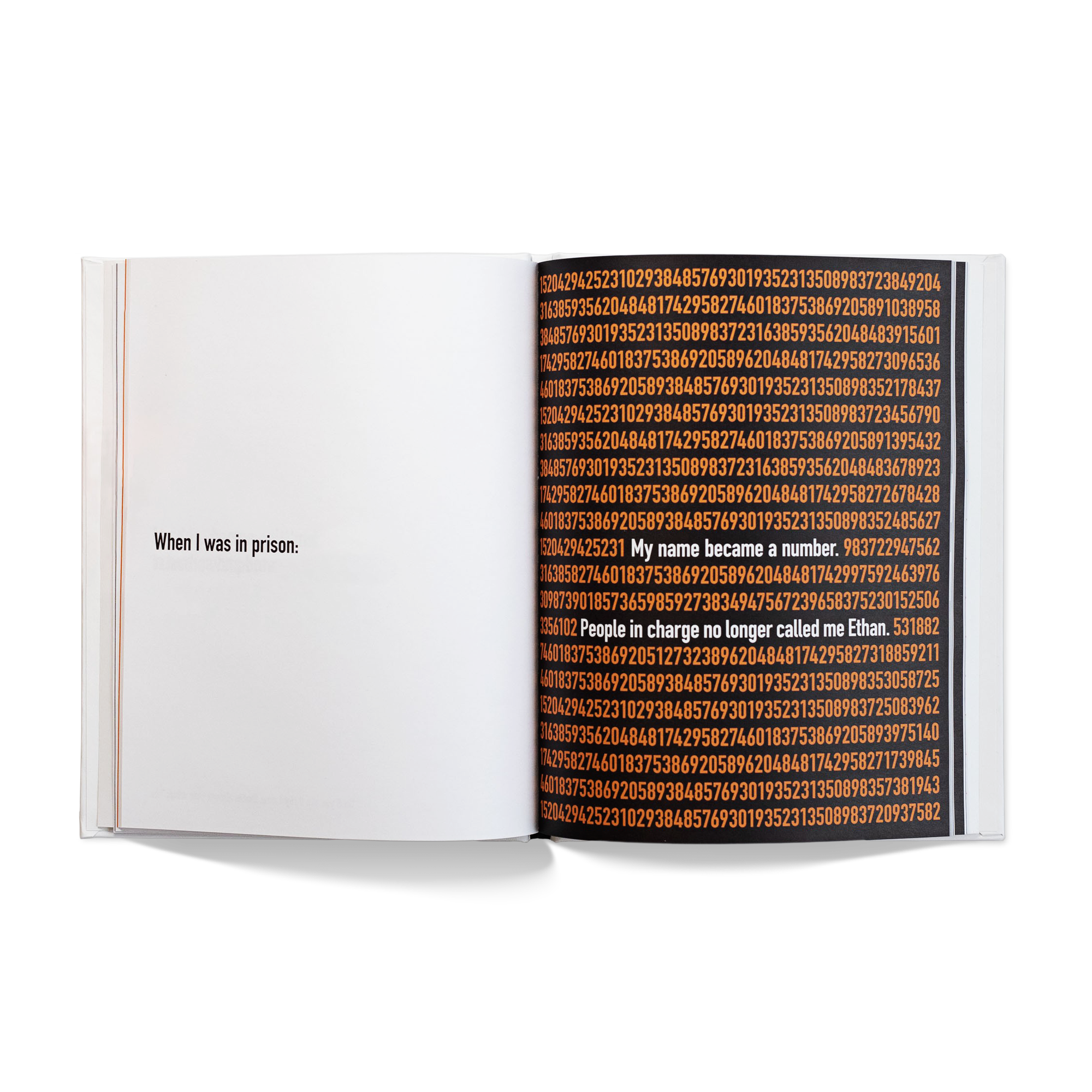 A Kids Book About Incarceration